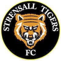 Strensall Tigers JFC Girls